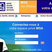MSA